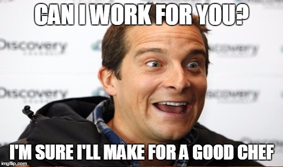 CAN I WORK FOR YOU? I'M SURE I'LL MAKE FOR A GOOD CHEF | image tagged in memes,bear grylls,dont hire this man | made w/ Imgflip meme maker