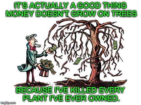 I actually have a green thumb compared to my sister | IT'S ACTUALLY A GOOD THING MONEY DOESN'T GROW ON TREES; BECAUSE I'VE KILLED EVERY PLANT I'VE EVER OWNED. | image tagged in money tree,dead plant | made w/ Imgflip meme maker