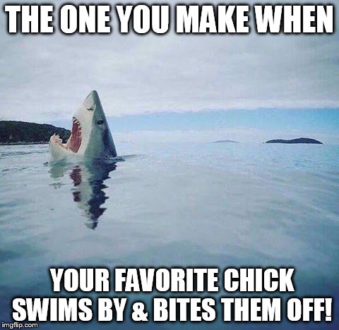 THE ONE YOU MAKE WHEN YOUR FAVORITE CHICK SWIMS BY & BITES THEM OFF! | made w/ Imgflip meme maker