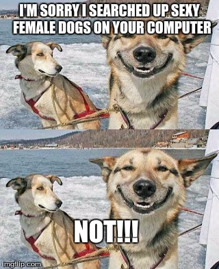 I'M SORRY I SEARCHED UP SEXY  FEMALE DOGS ON YOUR COMPUTER NOT!!! | made w/ Imgflip meme maker