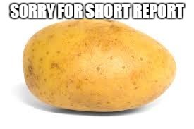 Potato | SORRY FOR SHORT REPORT | image tagged in potato | made w/ Imgflip meme maker