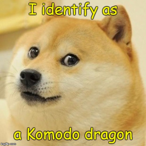Doge Meme | I identify as a Komodo dragon | image tagged in memes,doge | made w/ Imgflip meme maker