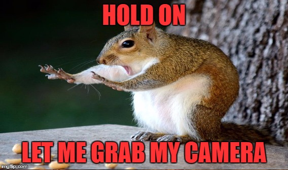 HOLD ON LET ME GRAB MY CAMERA | made w/ Imgflip meme maker