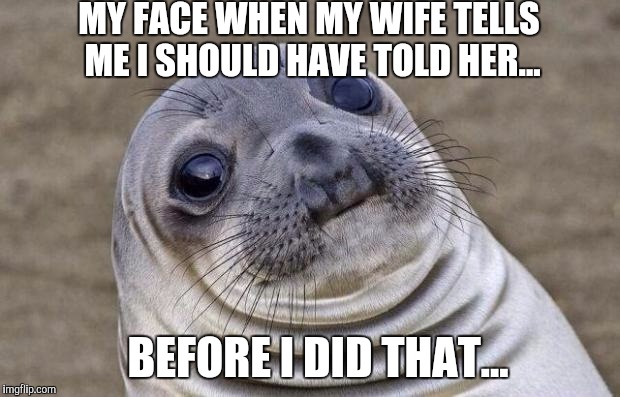 Awkward Moment Sealion Meme | MY FACE WHEN MY WIFE TELLS ME I SHOULD HAVE TOLD HER... BEFORE I DID THAT... | image tagged in memes,awkward moment sealion | made w/ Imgflip meme maker