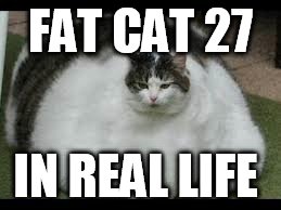 My mom says I'm a Hanson boy | FAT CAT 27; IN REAL LIFE | image tagged in meme | made w/ Imgflip meme maker