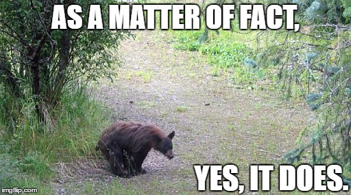 AS A MATTER OF FACT, YES, IT DOES. | image tagged in bear in woods | made w/ Imgflip meme maker