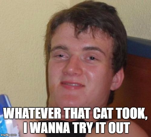 10 Guy Meme | WHATEVER THAT CAT TOOK, I WANNA TRY IT OUT | image tagged in memes,10 guy | made w/ Imgflip meme maker