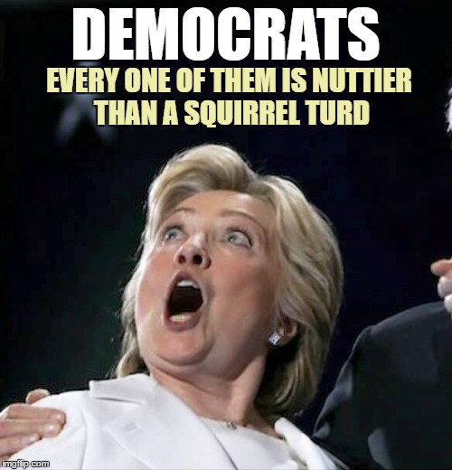 As the Trump inauguration approaches, Dems lose it | DEMOCRATS; EVERY ONE OF THEM IS NUTTIER THAN A SQUIRREL TURD | image tagged in donald trump,memes,funny memes,election 2016 | made w/ Imgflip meme maker