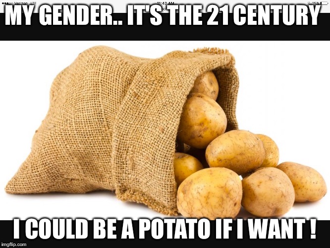 MY GENDER.. IT'S THE 21 CENTURY; I COULD BE A POTATO IF I WANT ! | image tagged in um | made w/ Imgflip meme maker