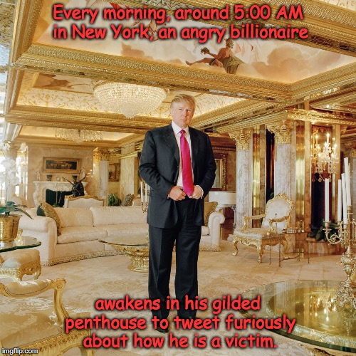 Every morning, around 5:00 AM in New York, an angry billionaire; awakens in his gilded penthouse to tweet furiously about how he is a victim. | image tagged in trump at home | made w/ Imgflip meme maker
