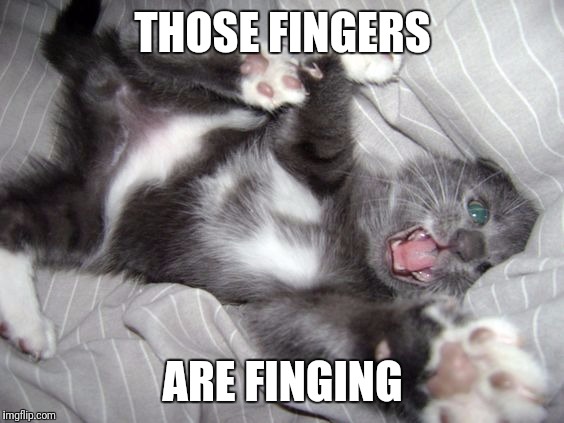 THOSE FINGERS ARE FINGING | made w/ Imgflip meme maker