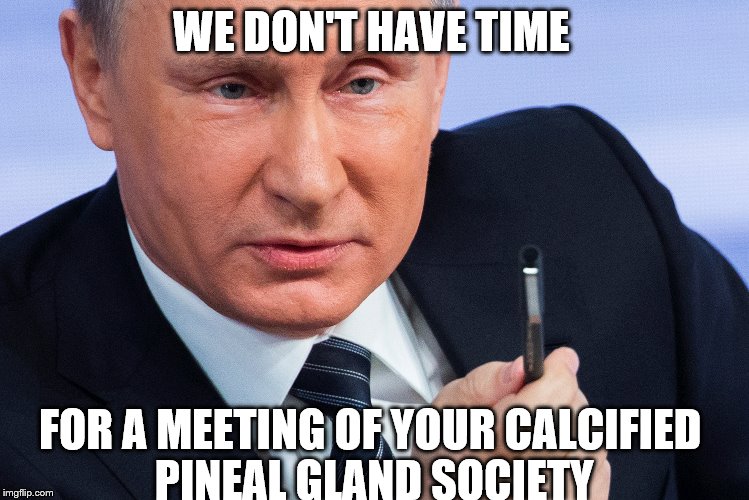 NASA
 | WE DON'T HAVE TIME; FOR A MEETING OF YOUR CALCIFIED PINEAL GLAND SOCIETY | image tagged in nasa | made w/ Imgflip meme maker