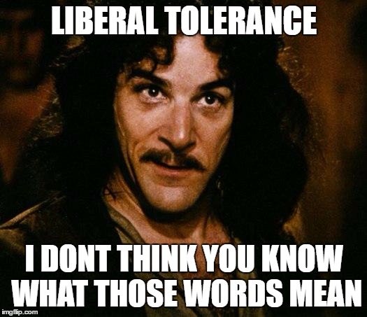 Inigo Montoya | LIBERAL TOLERANCE; I DONT THINK YOU KNOW WHAT THOSE WORDS MEAN | image tagged in memes,inigo montoya | made w/ Imgflip meme maker