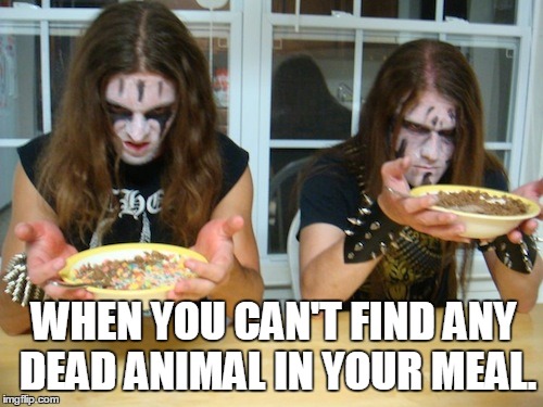 Metal | WHEN YOU CAN'T FIND ANY DEAD ANIMAL IN YOUR MEAL. | image tagged in metal,music,blackmetal,funny,meme | made w/ Imgflip meme maker