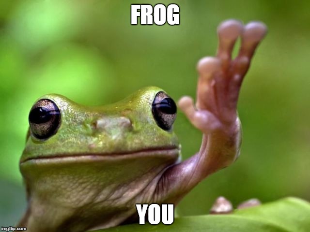 screw you | FROG; YOU | image tagged in screw you | made w/ Imgflip meme maker