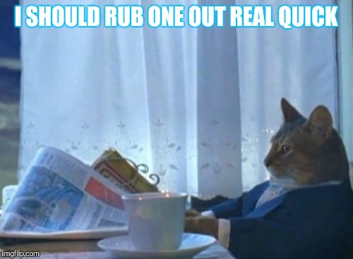 I Should Buy A Boat Cat Meme | I SHOULD RUB ONE OUT REAL QUICK | image tagged in memes,i should buy a boat cat | made w/ Imgflip meme maker