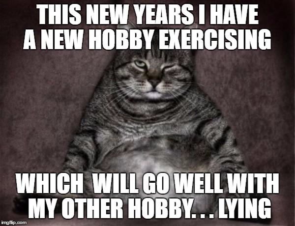 Lazy Cat | THIS NEW YEARS I HAVE A NEW HOBBY EXERCISING; WHICH  WILL GO WELL WITH MY OTHER HOBBY. . . LYING | image tagged in lazy cat | made w/ Imgflip meme maker