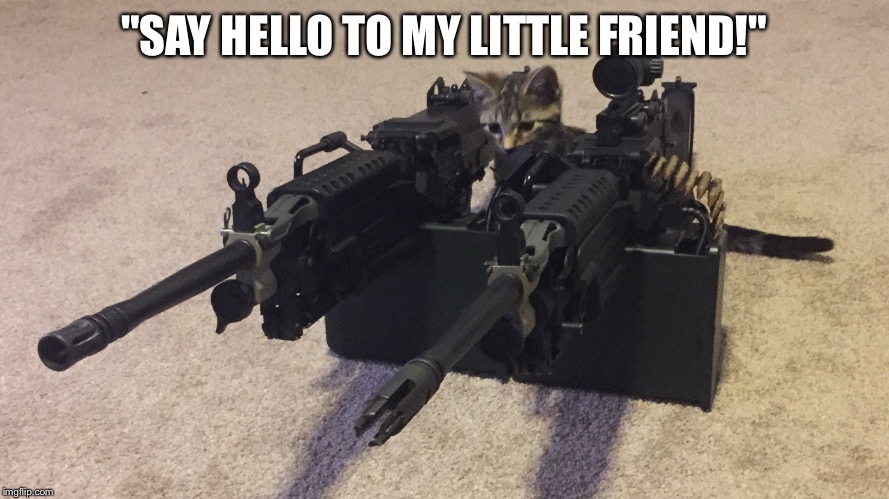 Scarface Kitten | "SAY HELLO TO MY LITTLE FRIEND!" | image tagged in scarface,guns,cats with guns | made w/ Imgflip meme maker
