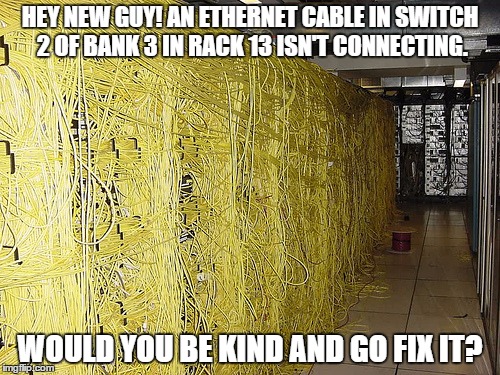 HEY NEW GUY! AN ETHERNET CABLE IN SWITCH 2 OF BANK 3 IN RACK 13 ISN'T CONNECTING. WOULD YOU BE KIND AND GO FIX IT? | image tagged in the worst needle in a haystack | made w/ Imgflip meme maker