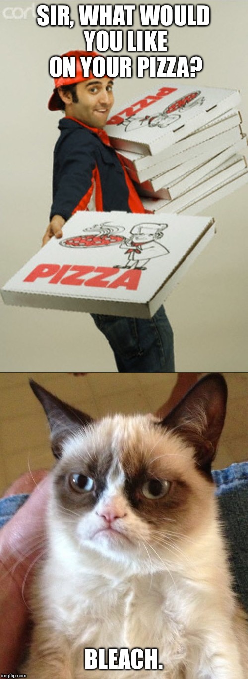 The grumpy cat diet | SIR, WHAT WOULD YOU LIKE ON YOUR PIZZA? BLEACH. | image tagged in grumpy cat,pizza,funny memes | made w/ Imgflip meme maker