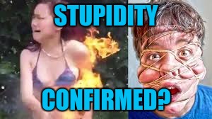STUPIDITY CONFIRMED? | image tagged in danger for likes | made w/ Imgflip meme maker