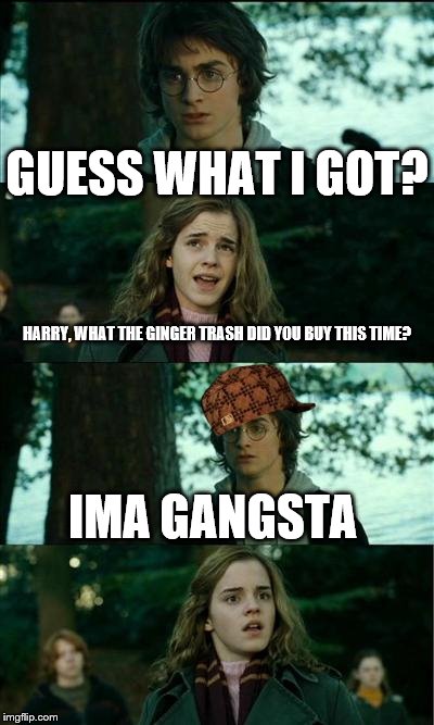 Horny Harry Meme | GUESS WHAT I GOT? HARRY, WHAT THE GINGER TRASH DID YOU BUY THIS TIME? IMA GANGSTA | image tagged in memes,horny harry,scumbag | made w/ Imgflip meme maker