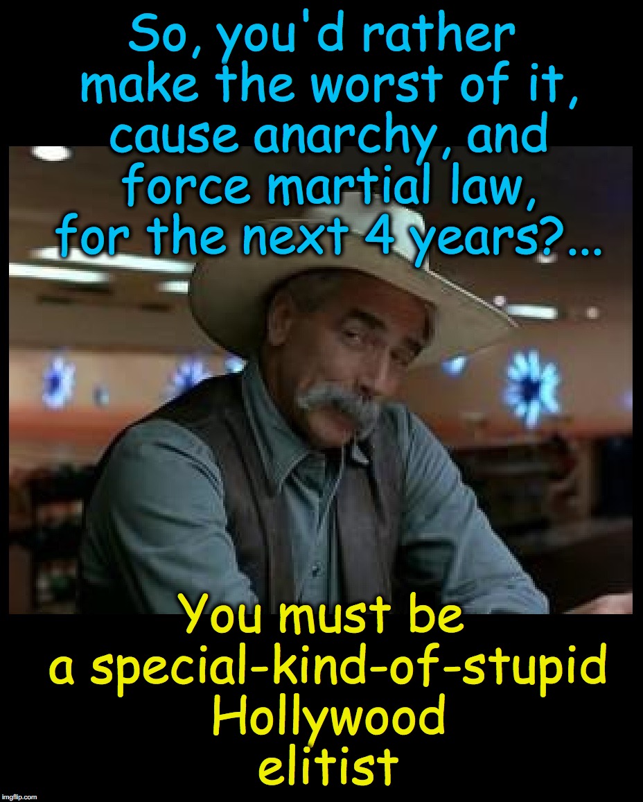 Maybe you've got 4 years of your life to waste, but I don't...... | So, you'd rather make the worst of it, cause anarchy, and force martial law, for the next 4 years?... You must be a special-kind-of-stupid Hollywood elitist | image tagged in special kind of stupid | made w/ Imgflip meme maker