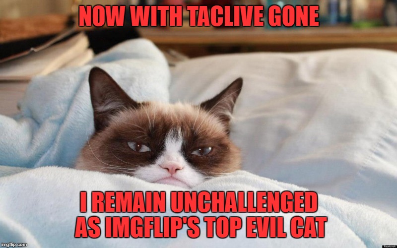 NOW WITH TACLIVE GONE I REMAIN UNCHALLENGED AS IMGFLIP'S TOP EVIL CAT | made w/ Imgflip meme maker