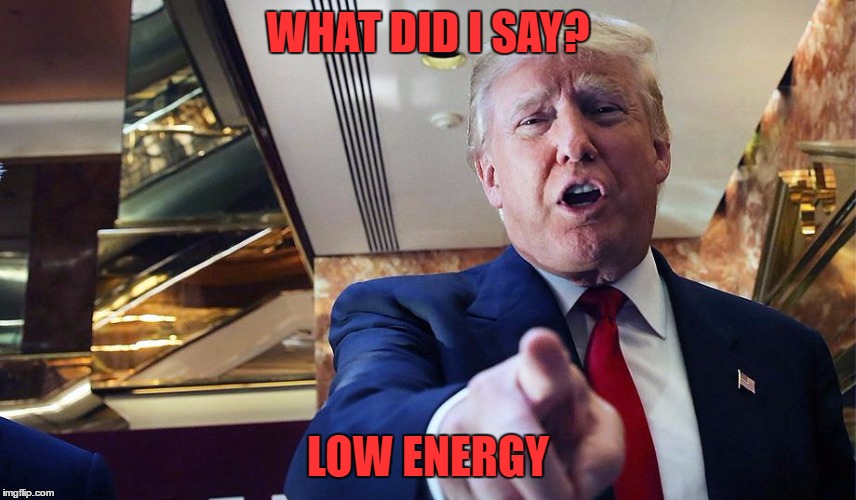 Trump I Want You | WHAT DID I SAY? LOW ENERGY | image tagged in trump burn | made w/ Imgflip meme maker