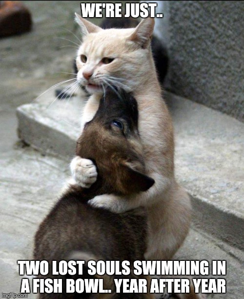 WE'RE JUST.. TWO LOST SOULS SWIMMING IN A FISH BOWL.. YEAR AFTER YEAR | image tagged in memes | made w/ Imgflip meme maker