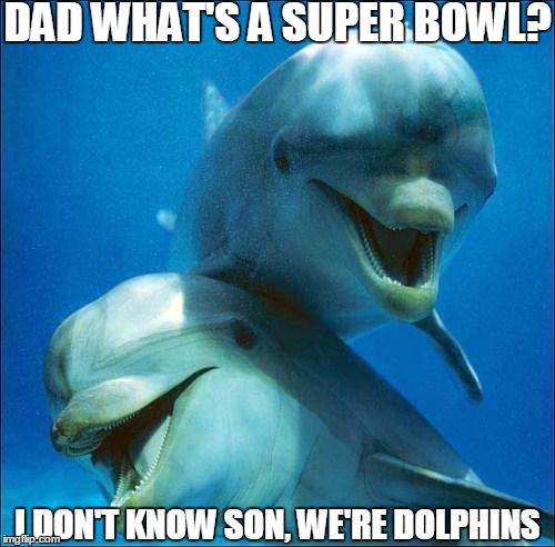 dolphins | DAD WHAT'S A SUPER BOWL? I DON'T KNOW SON, WE'RE DOLPHINS | image tagged in dolphins | made w/ Imgflip meme maker