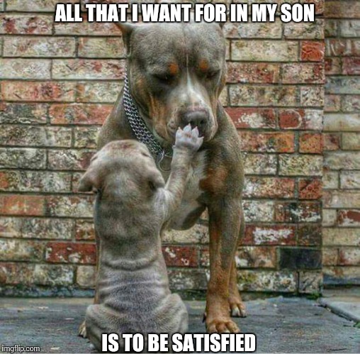 Puppy love | ALL THAT I WANT FOR IN MY SON; IS TO BE SATISFIED | image tagged in memes | made w/ Imgflip meme maker