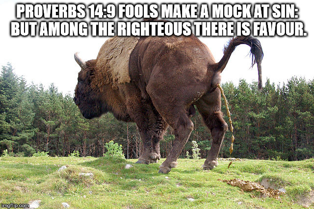 Biblical B.S. | PROVERBS 14:9 FOOLS MAKE A MOCK AT SIN: BUT AMONG THE RIGHTEOUS THERE IS FAVOUR. | image tagged in biblical bullshit,bible | made w/ Imgflip meme maker