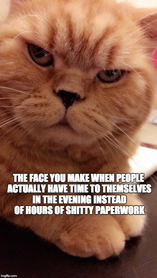 If my stare could kill you | THE FACE YOU MAKE WHEN PEOPLE ACTUALLY HAVE TIME TO THEMSELVES IN THE EVENING INSTEAD OF HOURS OF SHITTY PAPERWORK | image tagged in special education | made w/ Imgflip meme maker