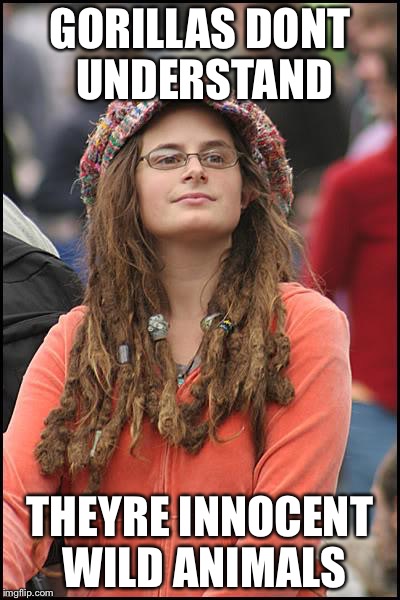 Libturd | GORILLAS DONT UNDERSTAND THEYRE INNOCENT WILD ANIMALS | image tagged in libturd | made w/ Imgflip meme maker