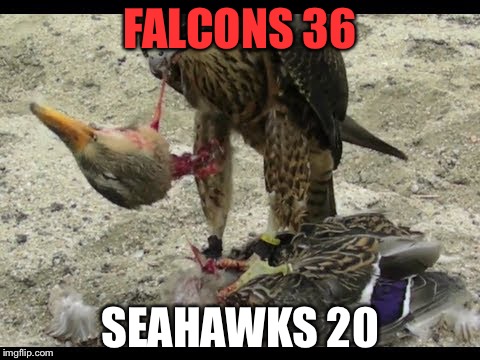 On to the NFCCG | FALCONS 36; SEAHAWKS 20 | image tagged in dead duck,memes | made w/ Imgflip meme maker