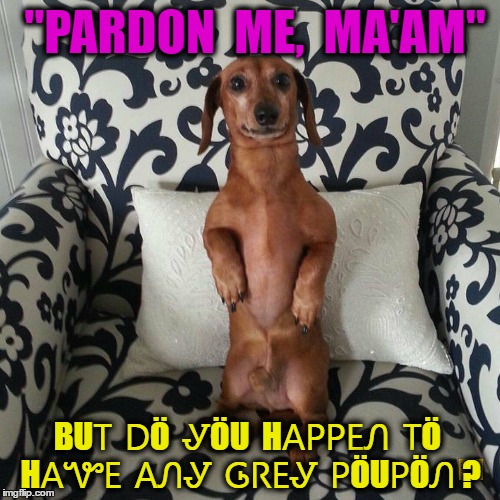 ~~  FOOD HOT DOG  ~~ | "PARDON  ME,  MA'AM"; BUᎢ  ᎠÖ  ᎽÖU  HᎪᏢᏢᎬᏁ  ᎢÖ  HᎪᏉᎬ  ᎪᏁᎽ  ᎶᏒᎬᎽ  ᏢÖUᏢÖᏁ ? | image tagged in advertising,animal,food,dog,funny | made w/ Imgflip meme maker