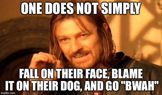 One Does Not Simply | ONE DOES NOT SIMPLY; FALL ON THEIR FACE, BLAME IT ON THEIR DOG, AND GO "BWAH" | image tagged in memes,one does not simply | made w/ Imgflip meme maker