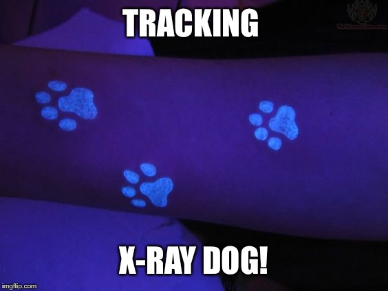 TRACKING X-RAY DOG! | made w/ Imgflip meme maker