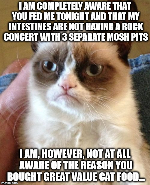 Grumpy Cat Meme | I AM COMPLETELY AWARE THAT YOU FED ME TONIGHT AND THAT MY INTESTINES ARE NOT HAVING A ROCK CONCERT WITH 3 SEPARATE MOSH PITS; I AM, HOWEVER, NOT AT ALL AWARE OF THE REASON YOU BOUGHT GREAT VALUE CAT FOOD... | image tagged in memes,grumpy cat | made w/ Imgflip meme maker