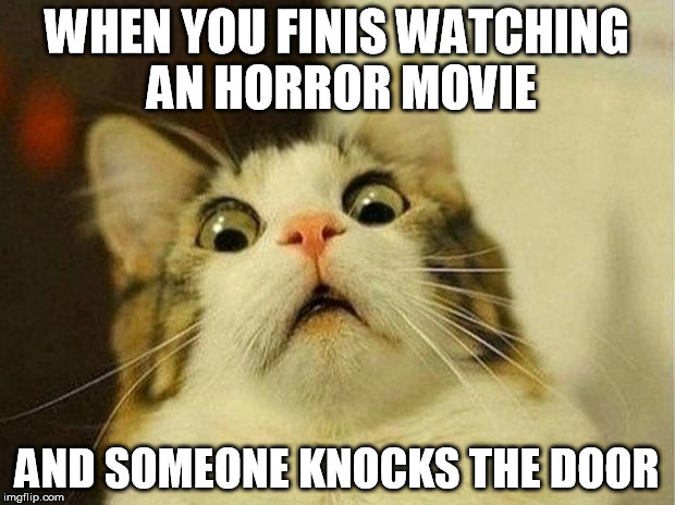Scared Cat | WHEN YOU FINIS WATCHING AN HORROR MOVIE; AND SOMEONE KNOCKS THE DOOR | image tagged in memes,scared cat | made w/ Imgflip meme maker