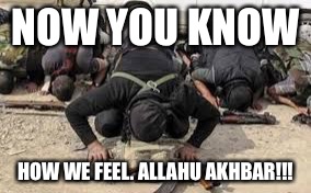 NOW YOU KNOW HOW WE FEEL. ALLAHU AKHBAR!!! | image tagged in radical islamists | made w/ Imgflip meme maker