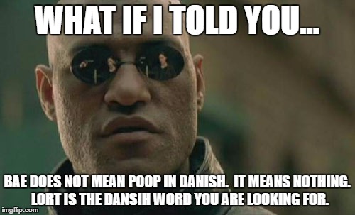 Matrix Morpheus Meme | WHAT IF I TOLD YOU... BAE DOES NOT MEAN POOP IN DANISH.  IT MEANS NOTHING.  LORT IS THE DANSIH WORD YOU ARE LOOKING FOR. | image tagged in memes,matrix morpheus | made w/ Imgflip meme maker