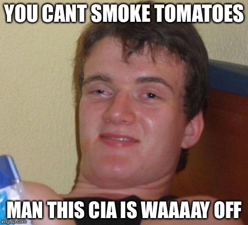 10 Guy Meme | YOU CANT SMOKE TOMATOES MAN THIS CIA IS WAAAAY OFF | image tagged in memes,10 guy | made w/ Imgflip meme maker