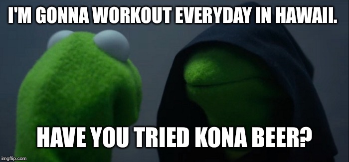 Evil Kermit Meme | I'M GONNA WORKOUT EVERYDAY IN HAWAII. HAVE YOU TRIED KONA BEER? | image tagged in evil kermit | made w/ Imgflip meme maker