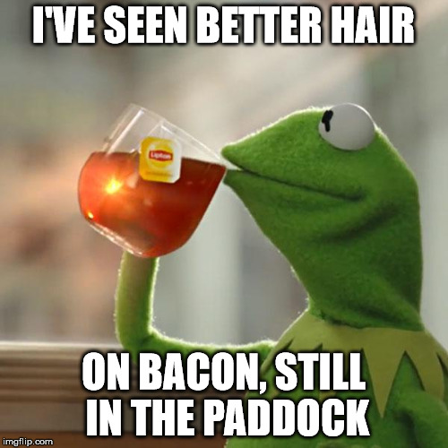 But That's None Of My Business Meme | I'VE SEEN BETTER HAIR ON BACON, STILL IN THE PADDOCK | image tagged in memes,but thats none of my business,kermit the frog | made w/ Imgflip meme maker