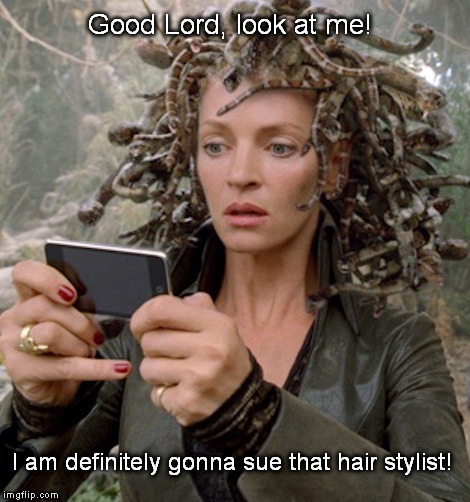 Hair Styles of the Rich and Famous | Good Lord, look at me! I am definitely gonna sue that hair stylist! | image tagged in medusa | made w/ Imgflip meme maker