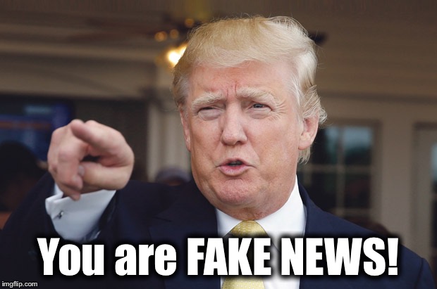 You are FAKE NEWS! | image tagged in fake news | made w/ Imgflip meme maker