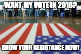 Want my vote | WANT MY VOTE IN 2018? SHOW YOUR RESISTANCE NOW! | image tagged in theresistance,vote,no trump | made w/ Imgflip meme maker