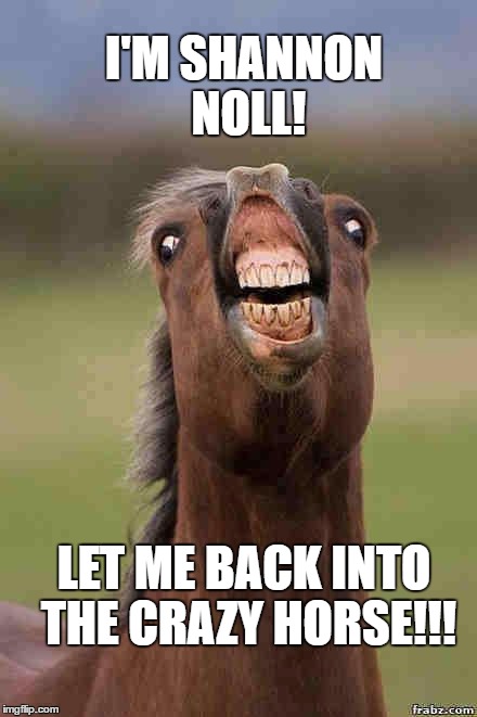 I'm Shannon Noll. Let me back into the Crazy Horse! | I'M SHANNON NOLL! LET ME BACK INTO THE CRAZY HORSE!!! | image tagged in horse face,australian idol,shannon noll,crazy horse,meanwhile in australia,strip club | made w/ Imgflip meme maker